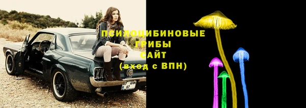дживик Медвежьегорск