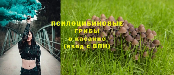 спайс Медногорск