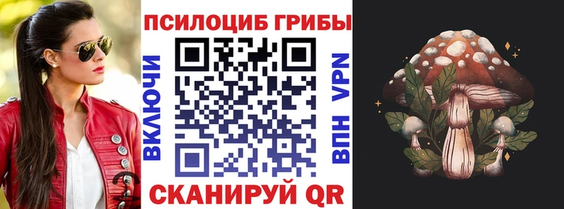 Псилоцибиновые грибы ЛСД  Куртамыш 